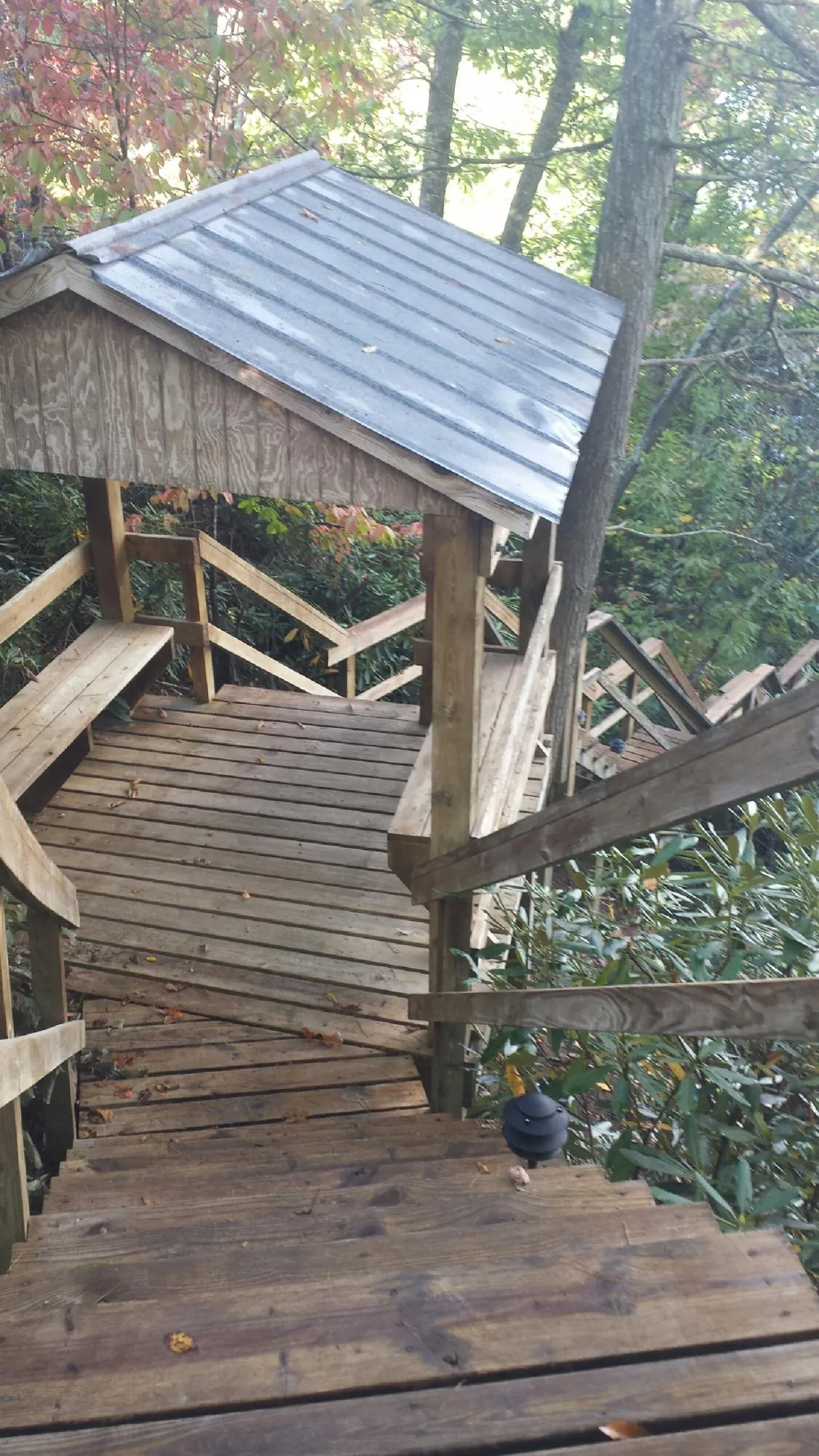 Metal roofed shelter over wooden steps on a wooded walkway — Skylight Repair & Installation work by our crew in Adel